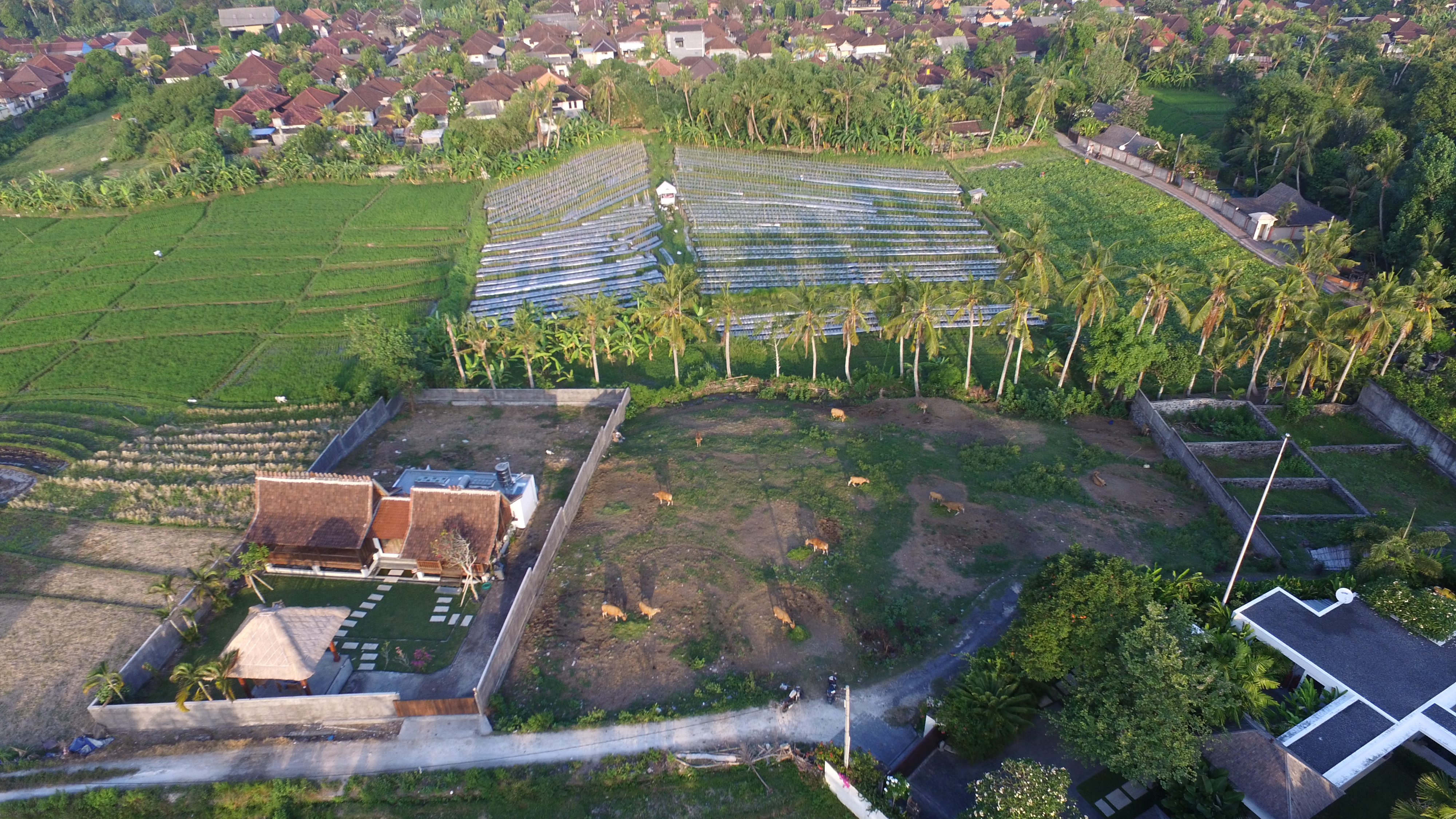 lease-hold-land-canggu-70-ara